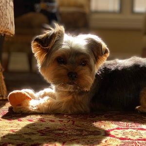 Meet your Posher, Margaret